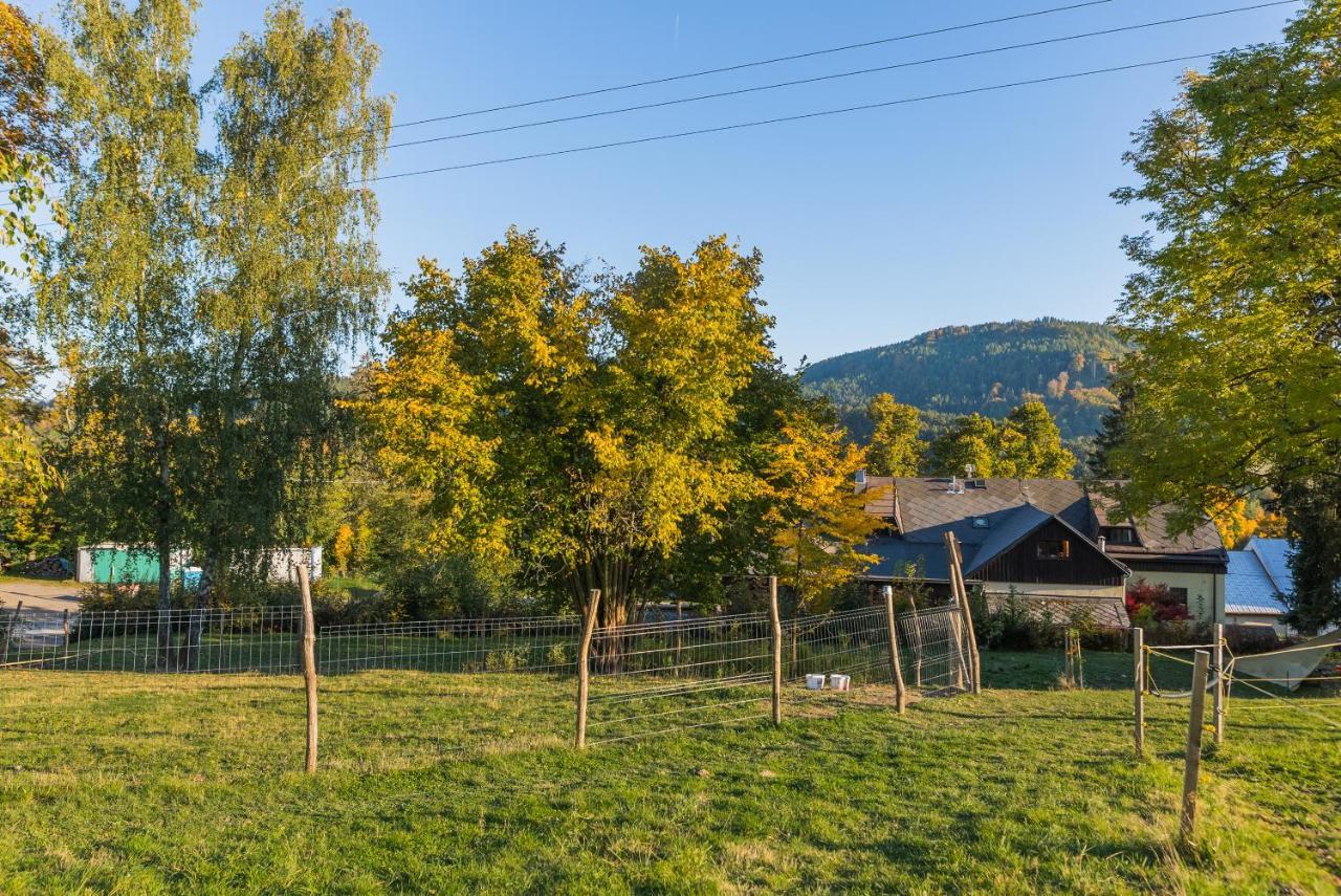 Penzion Jizera Malá Skála Buitenkant foto